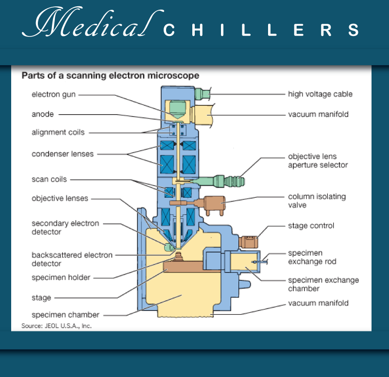 Medical-sem-diagram-16